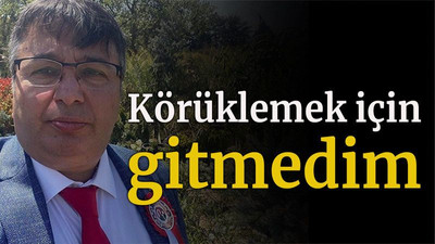 Körüklemek için gitmedim